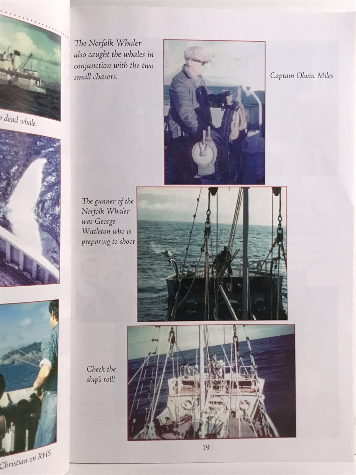 Unicorn Bookshop