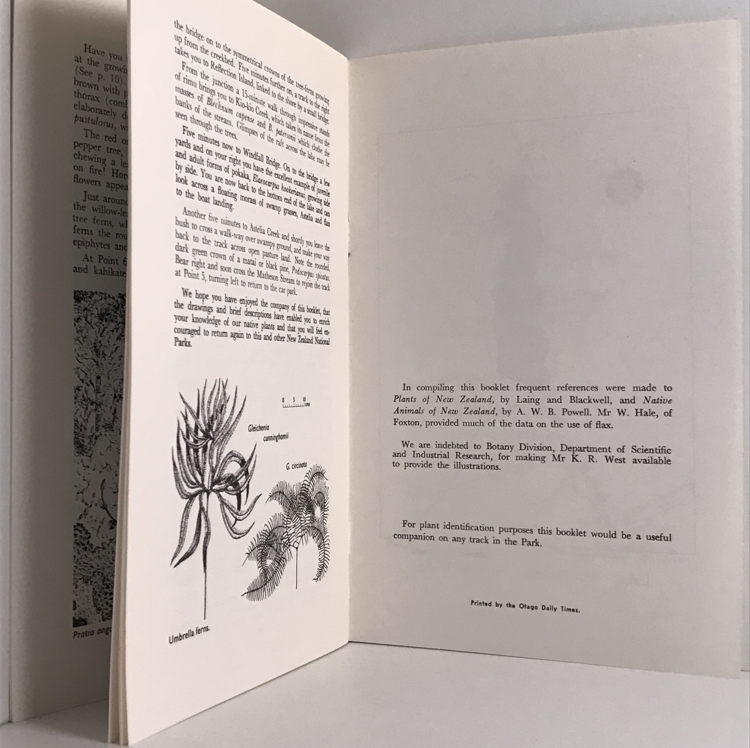 Unicorn Bookshop