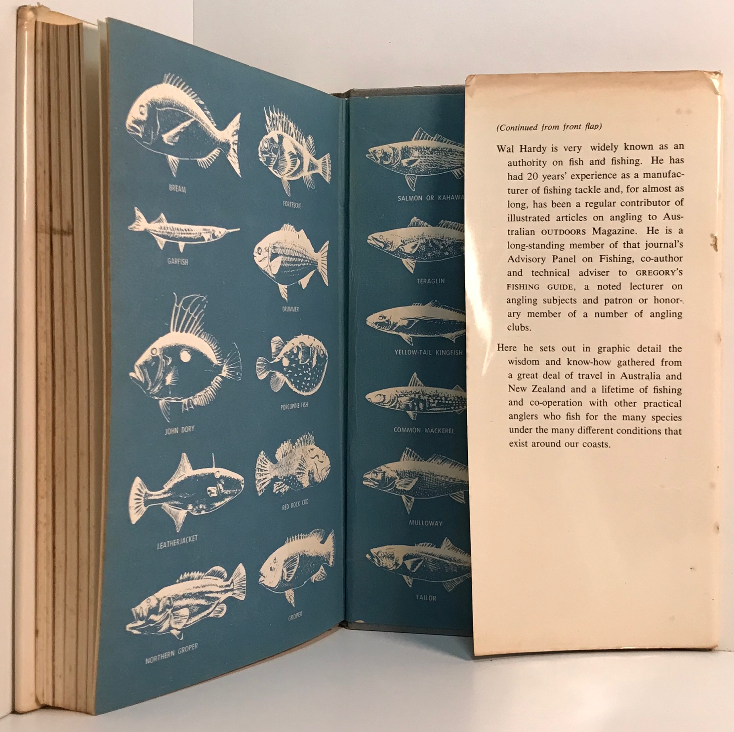 Unicorn Bookshop