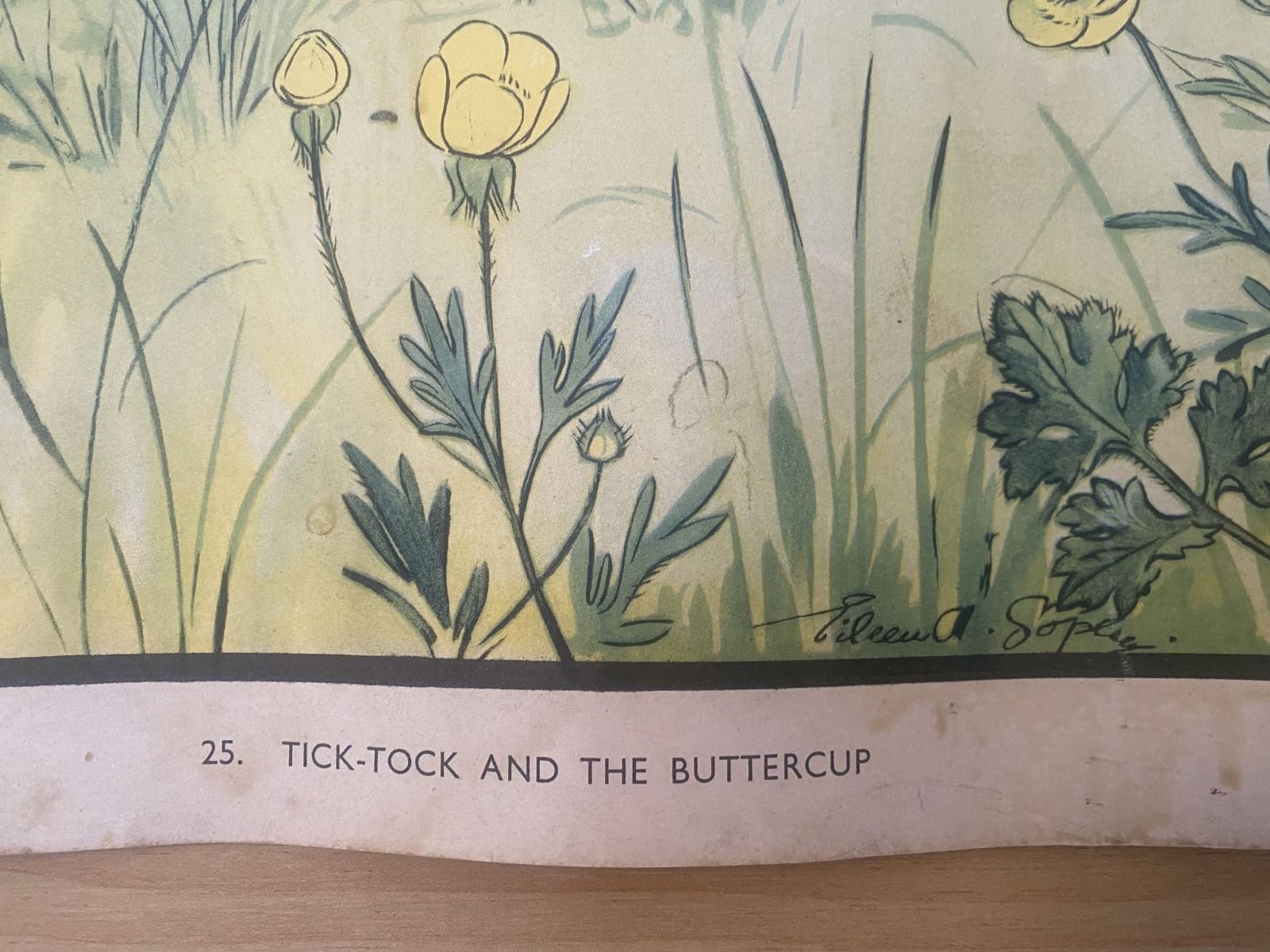 Unicorn Bookshop