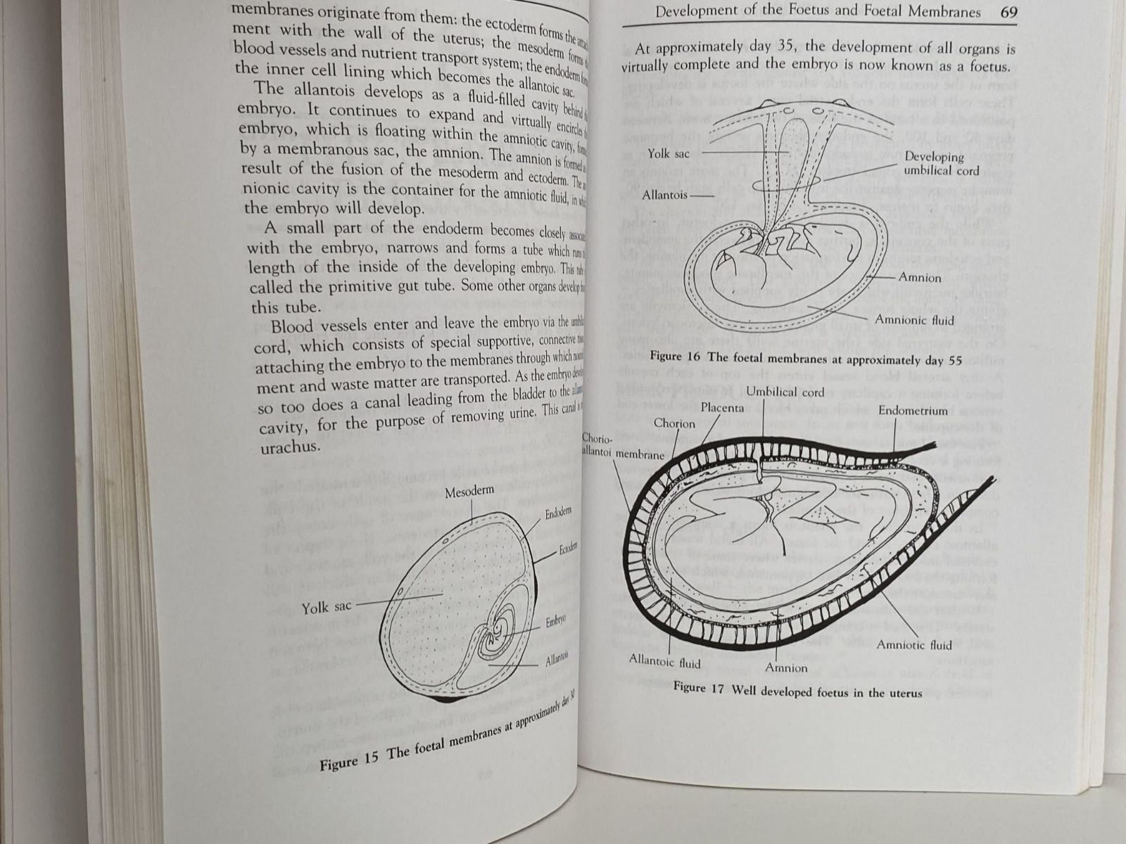 Unicorn Bookshop