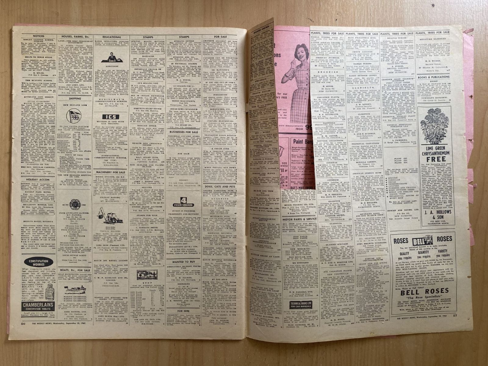 Unicorn Bookshop