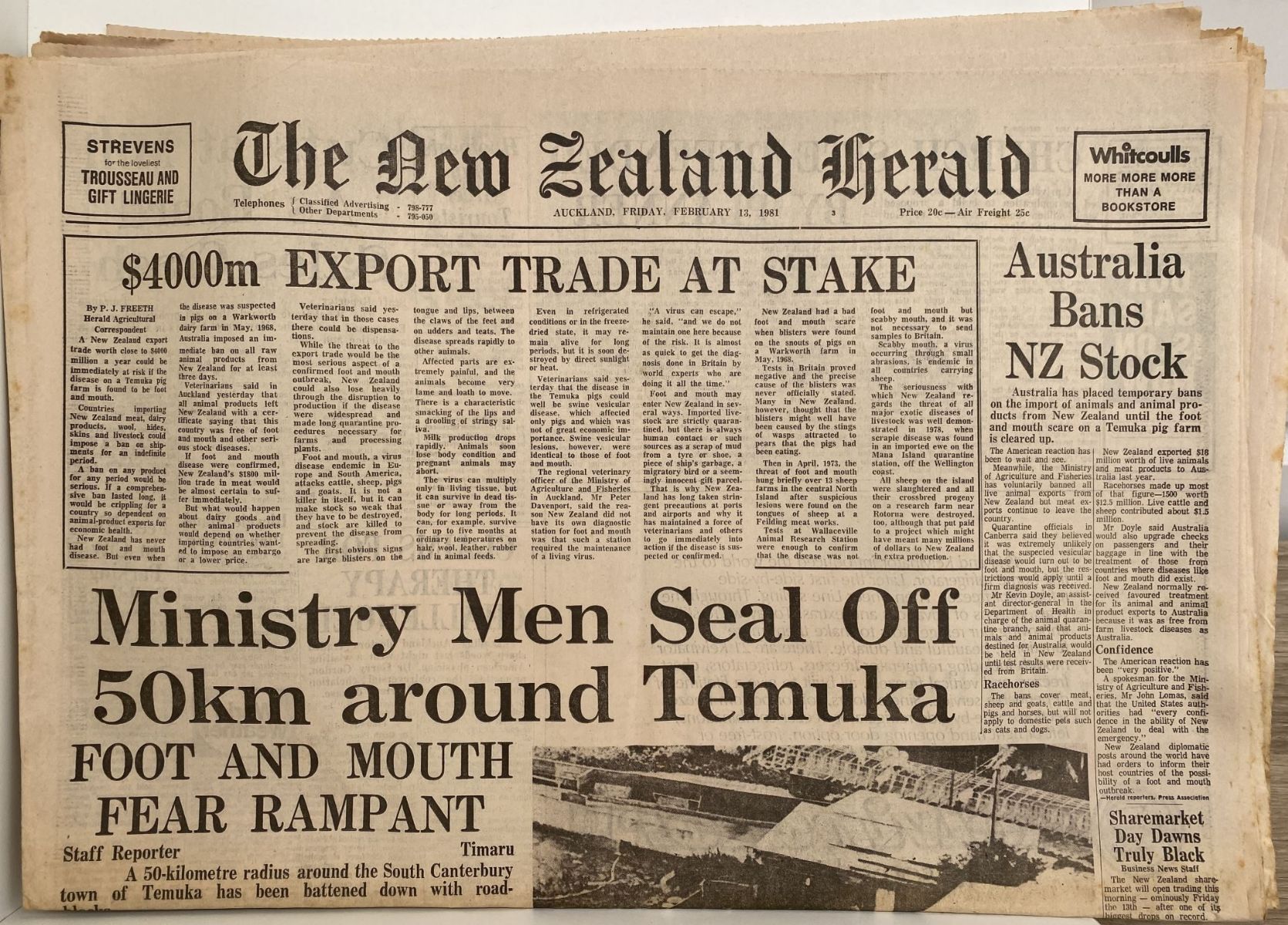 OLD NEWSPAPER: The New Zealand Herald, 13th February 1981 - Foot and mouth outbreak