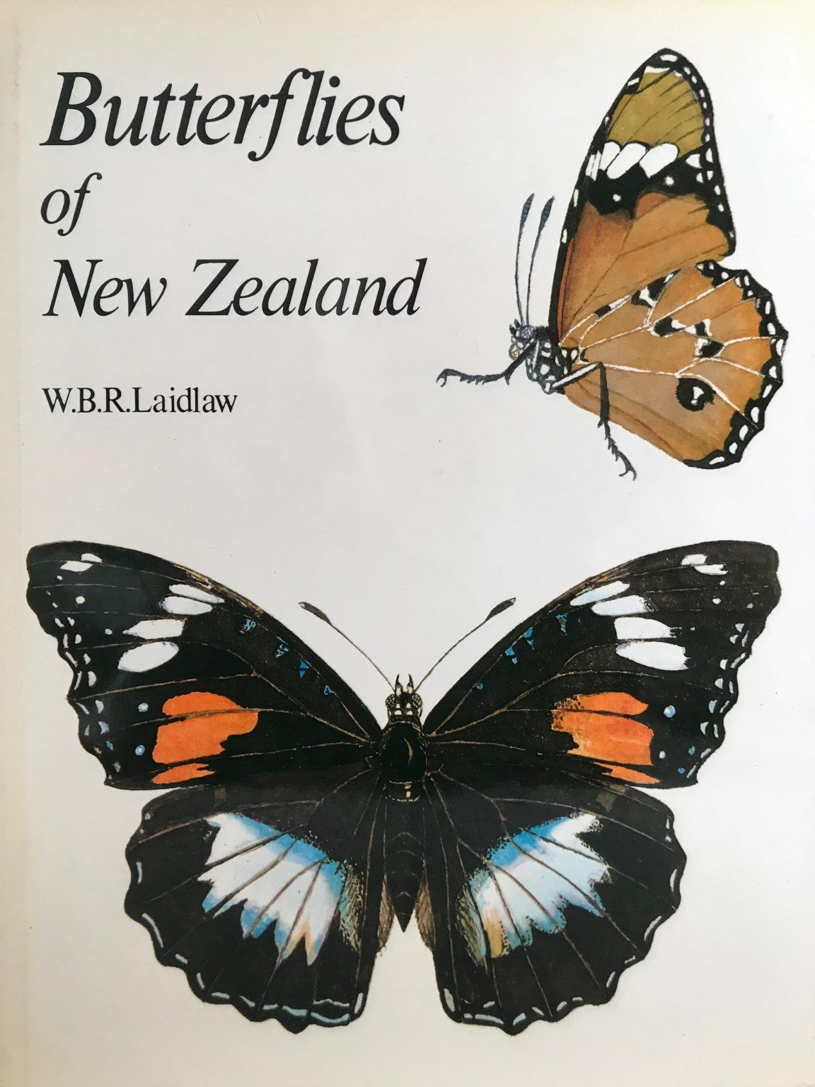 BUTTERFLIES OF NEW ZEALAND