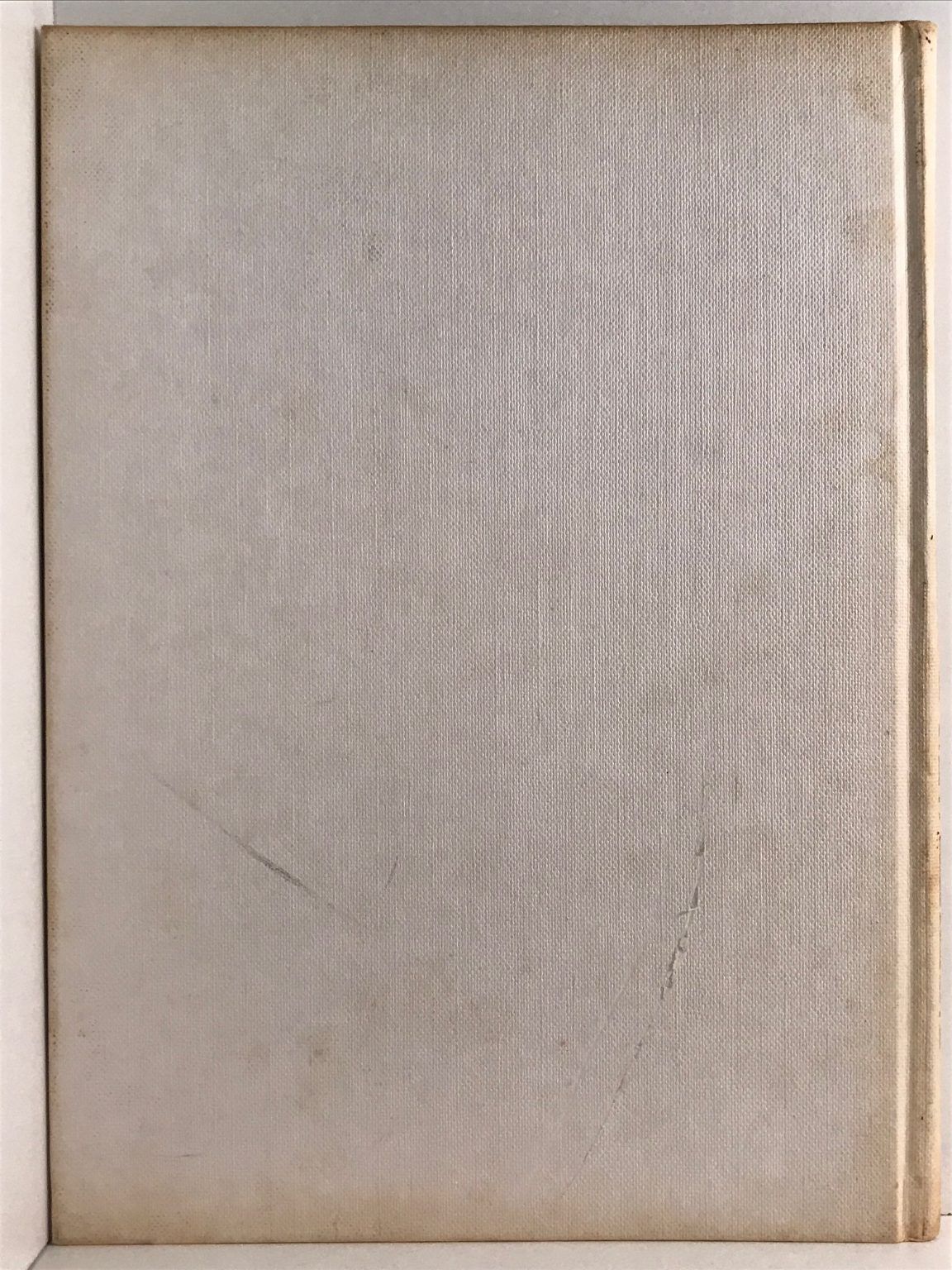 Unicorn Bookshop
