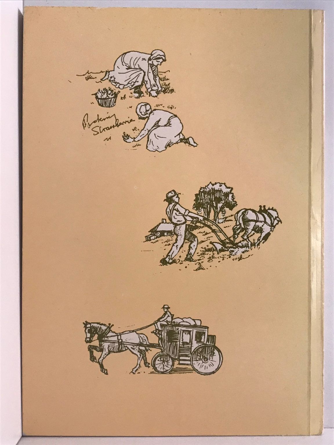 Unicorn Bookshop