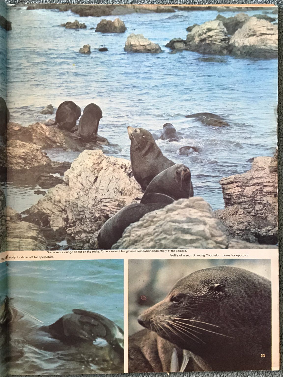 Unicorn Bookshop
