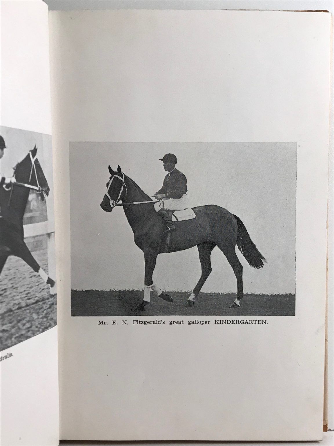 Unicorn Bookshop