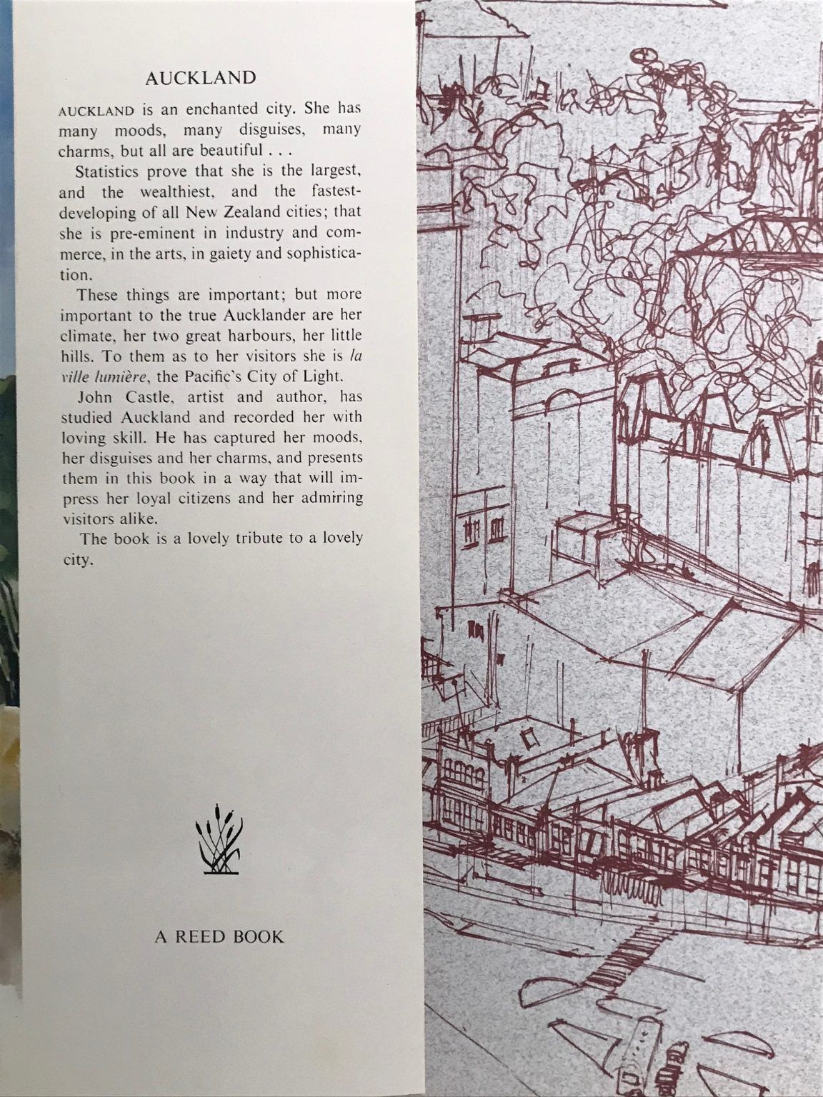Unicorn Bookshop
