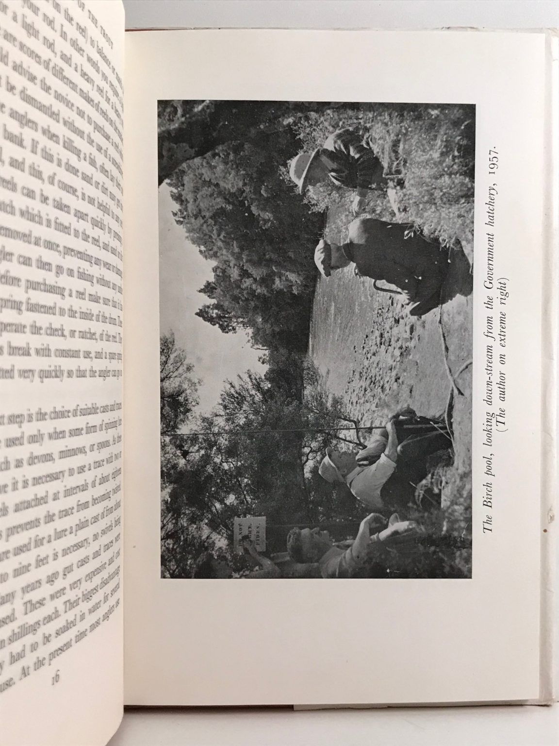 Unicorn Bookshop