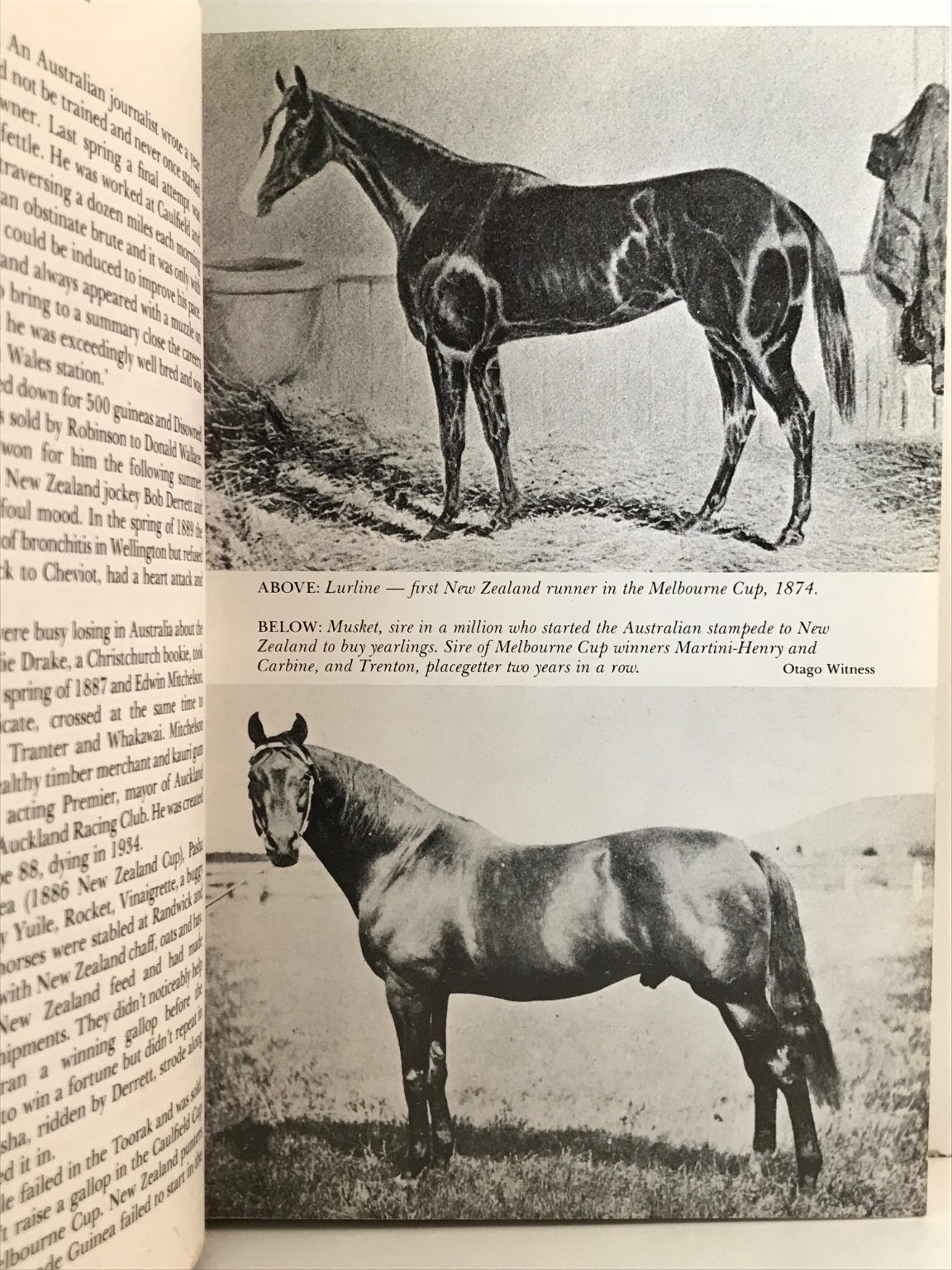 Unicorn Bookshop