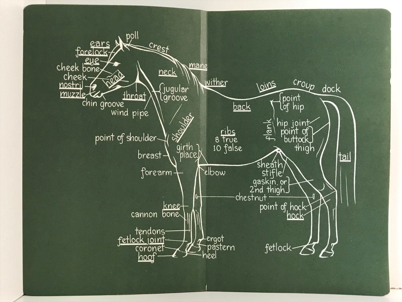 Unicorn Bookshop