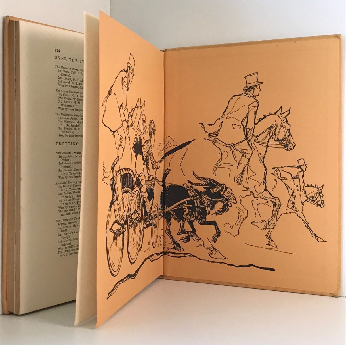 Unicorn Bookshop