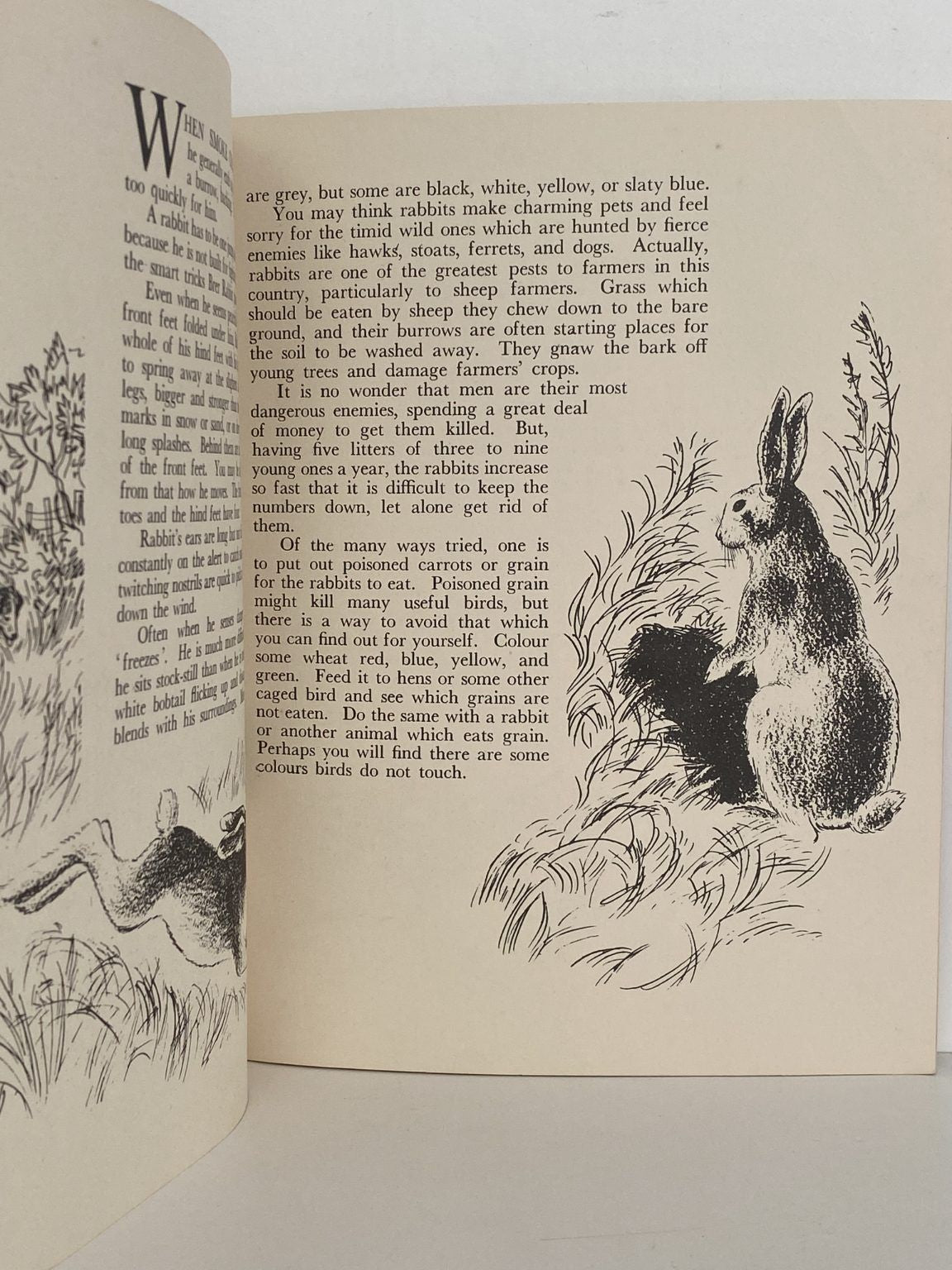Unicorn Bookshop