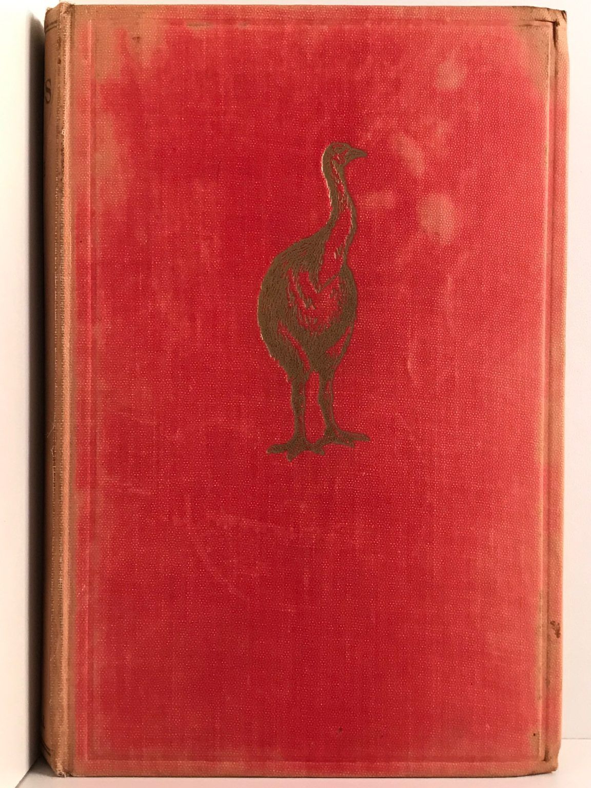 Unicorn Bookshop
