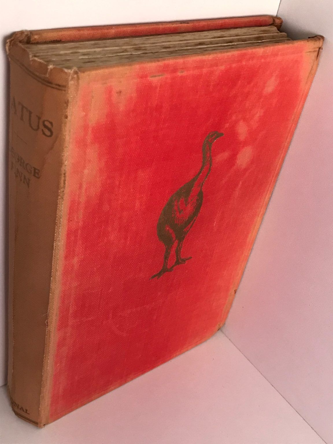 Unicorn Bookshop