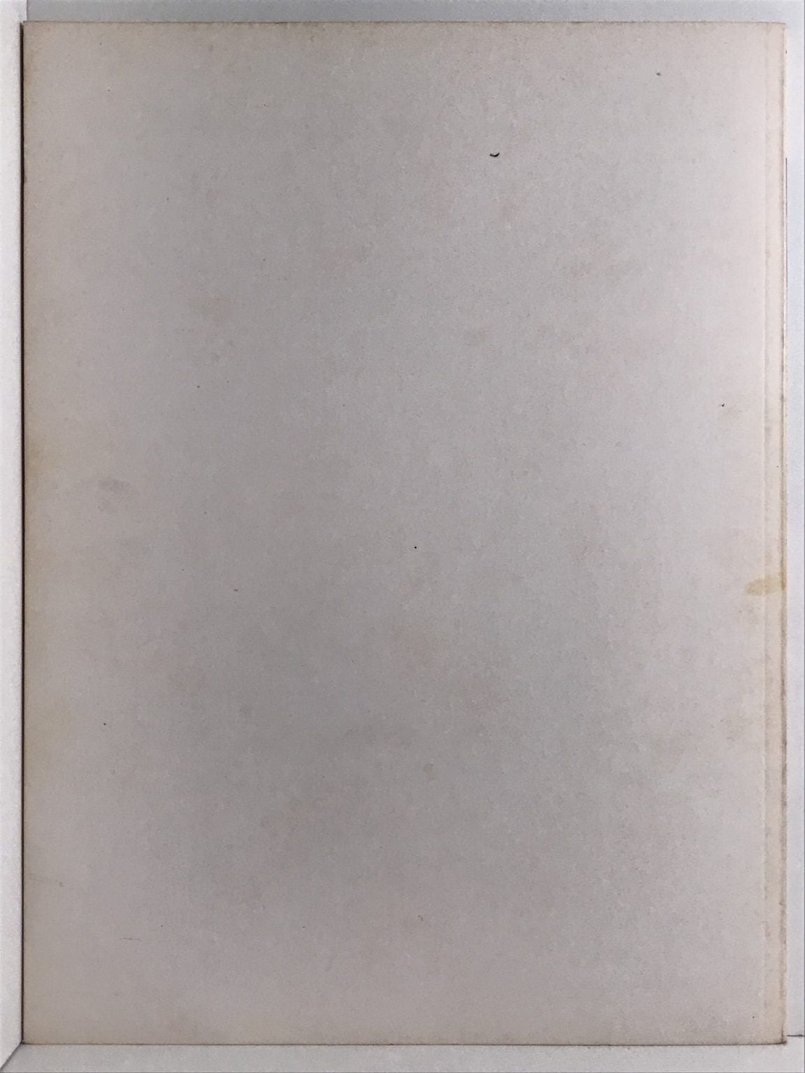 Unicorn Bookshop