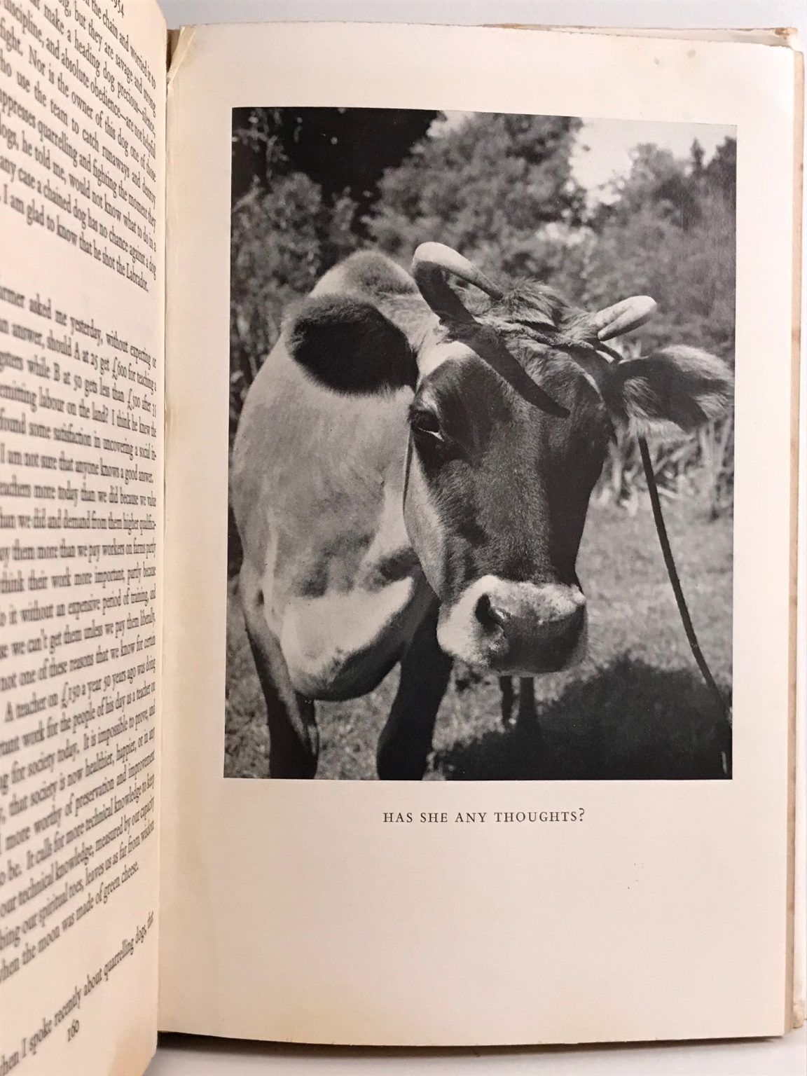 Unicorn Bookshop