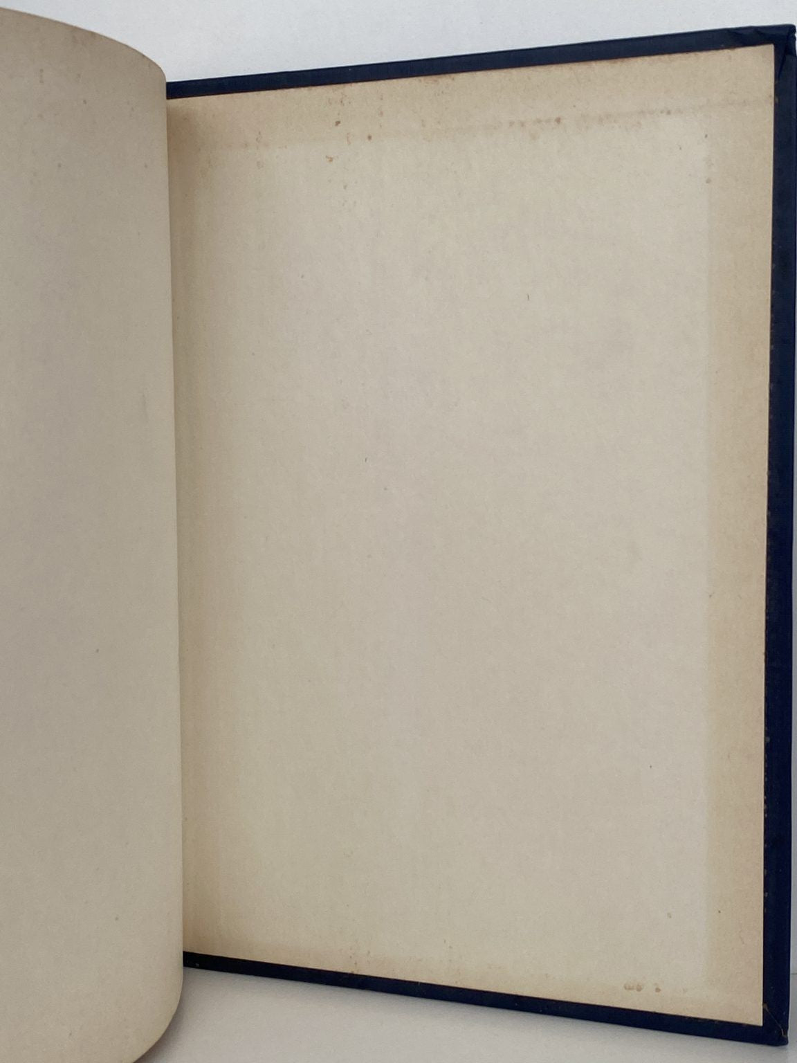 Unicorn Bookshop