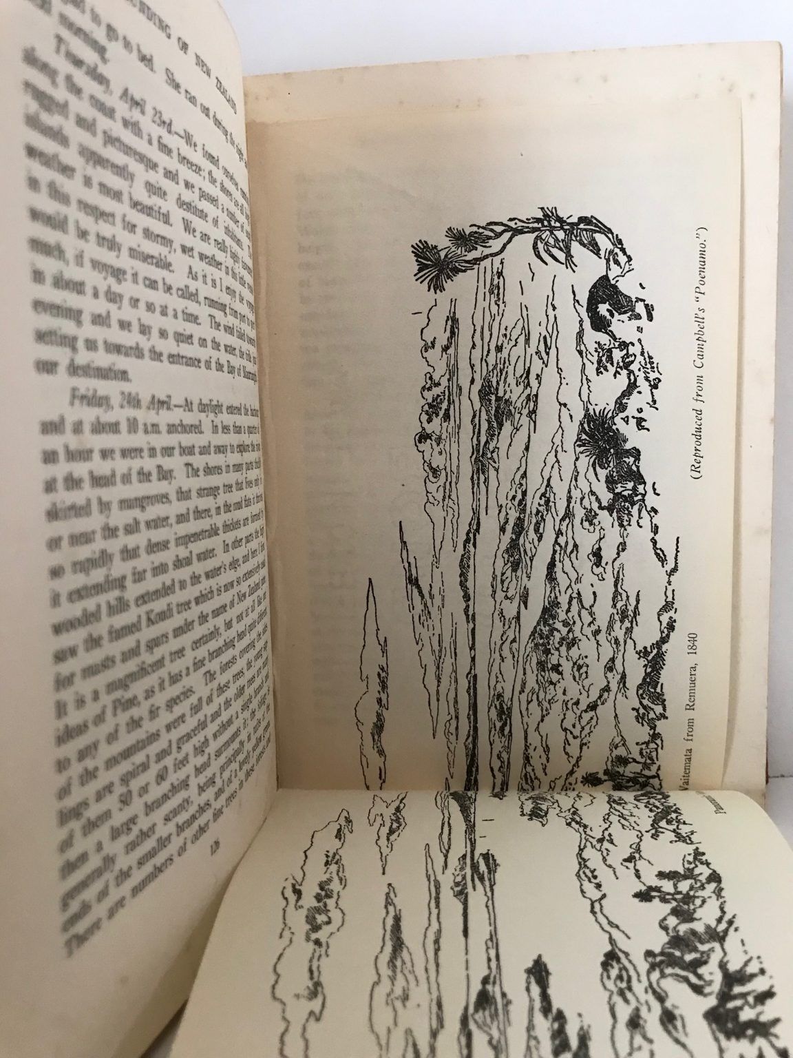Unicorn Bookshop