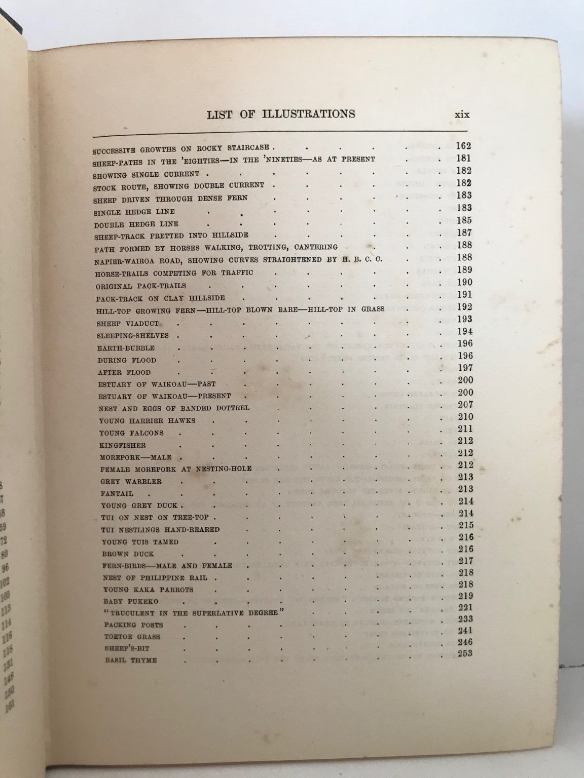 Unicorn Bookshop
