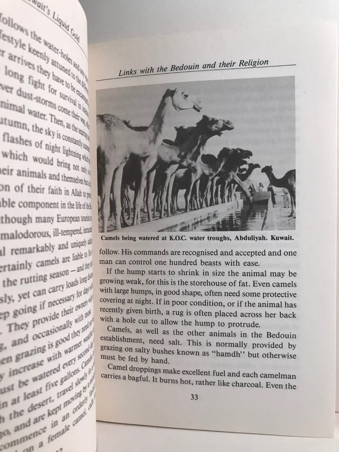 Unicorn Bookshop
