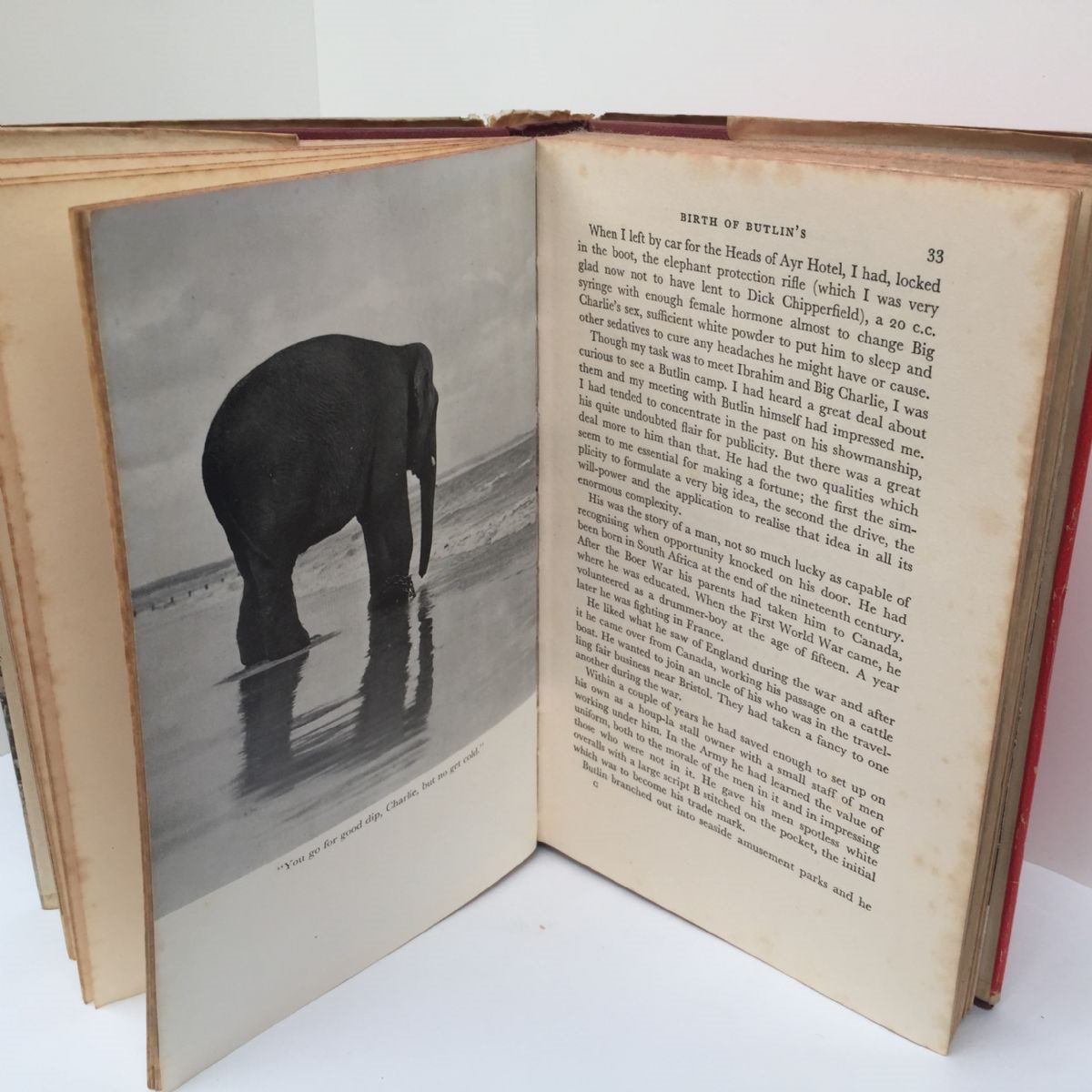Unicorn Bookshop