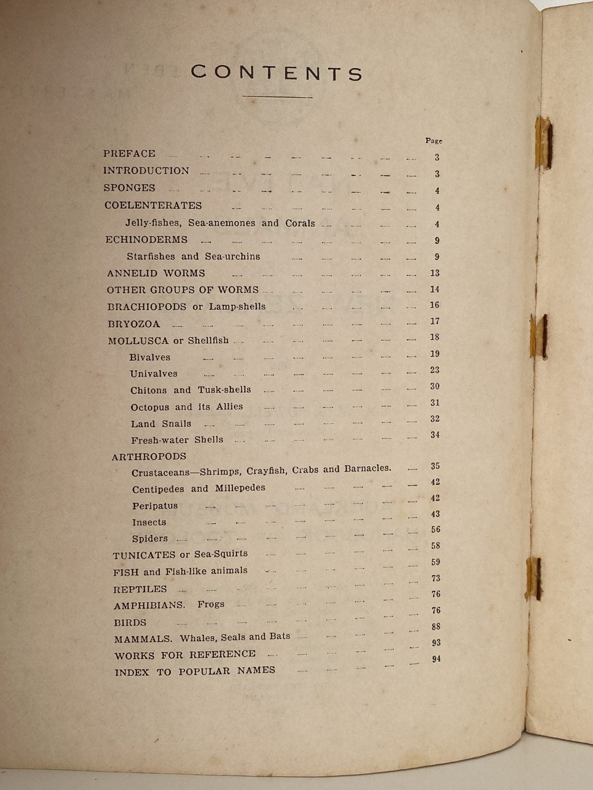 Unicorn Bookshop