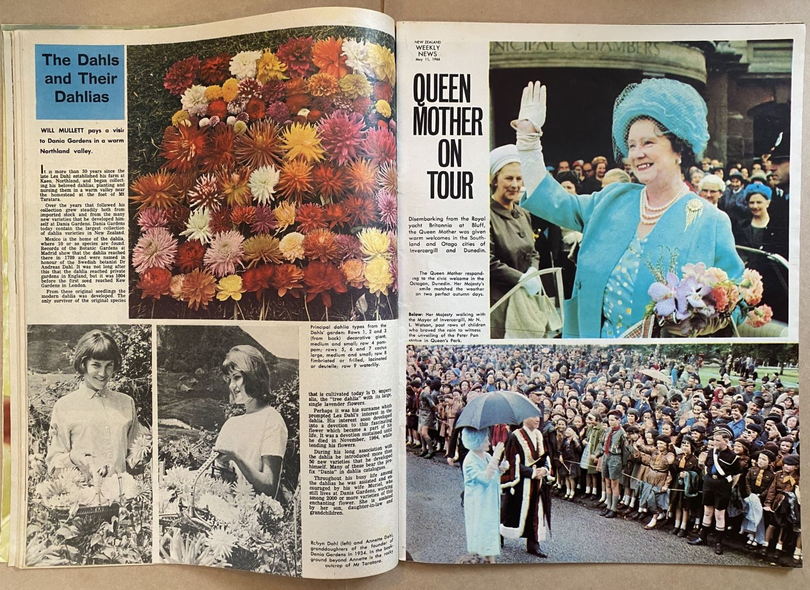 Unicorn Bookshop