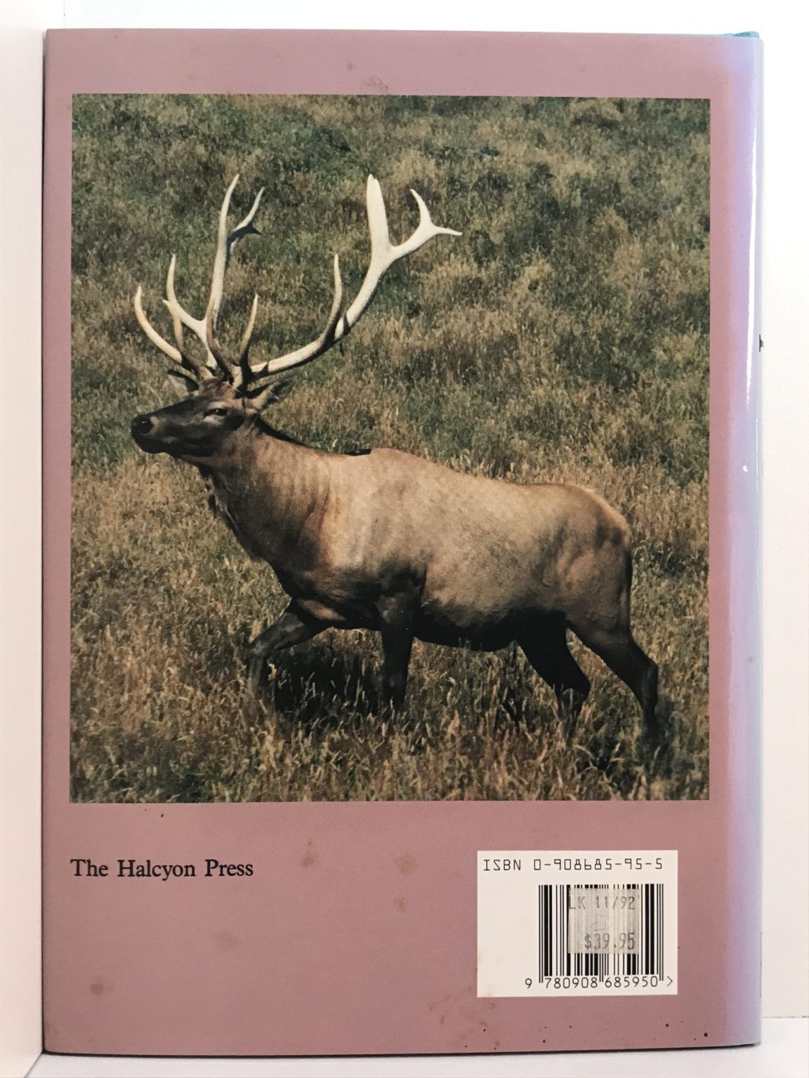 Unicorn Bookshop