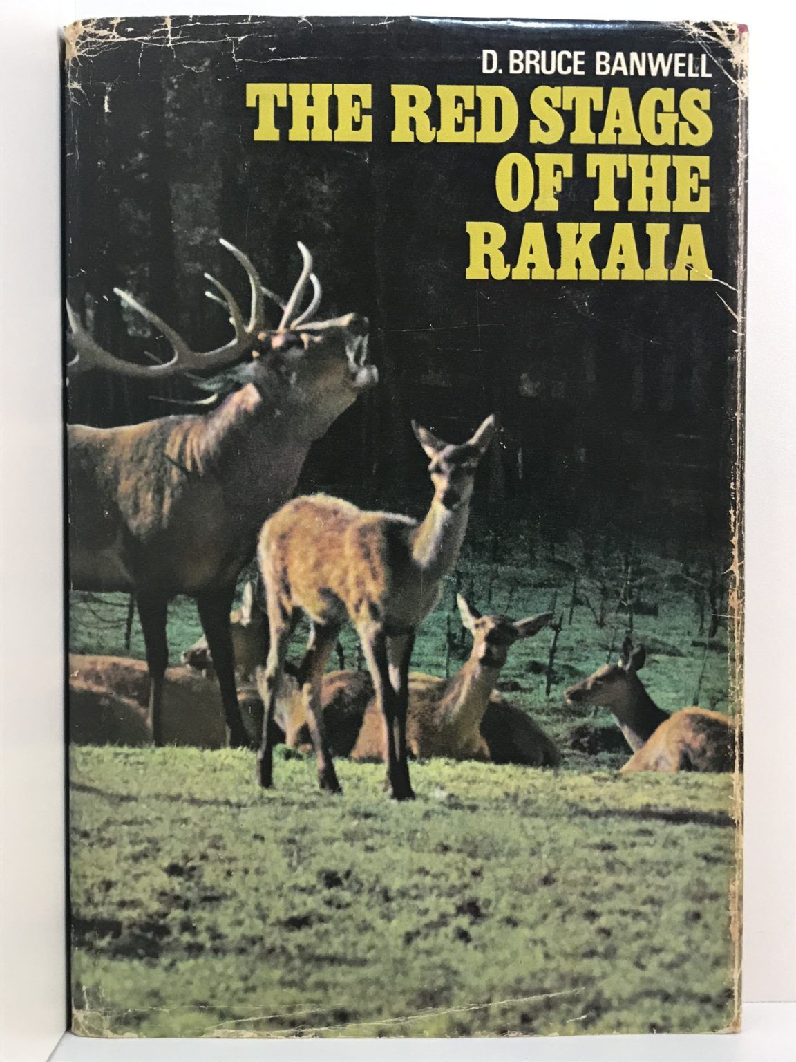 Unicorn Bookshop