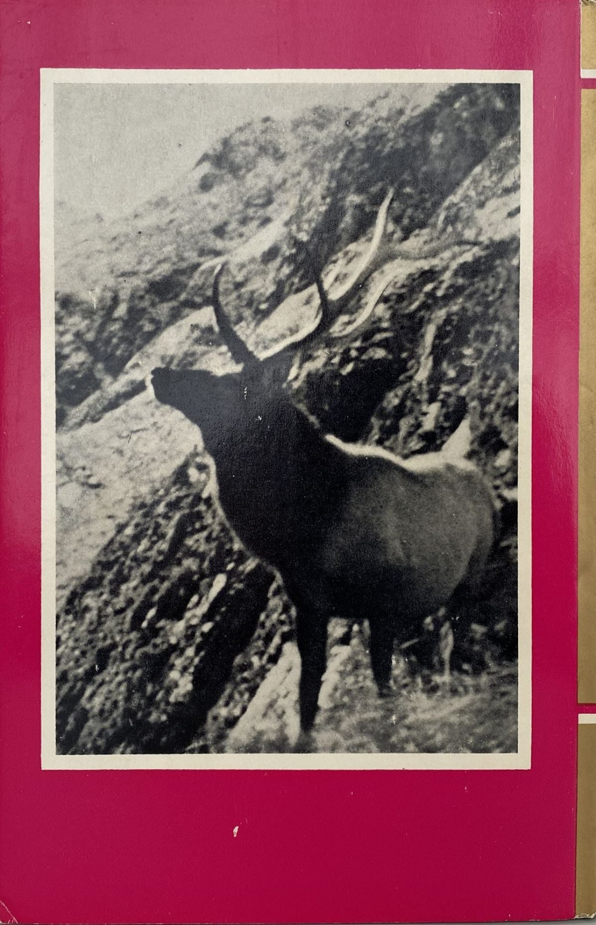 Unicorn Bookshop