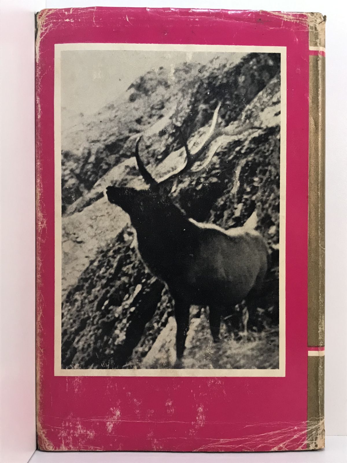 Unicorn Bookshop