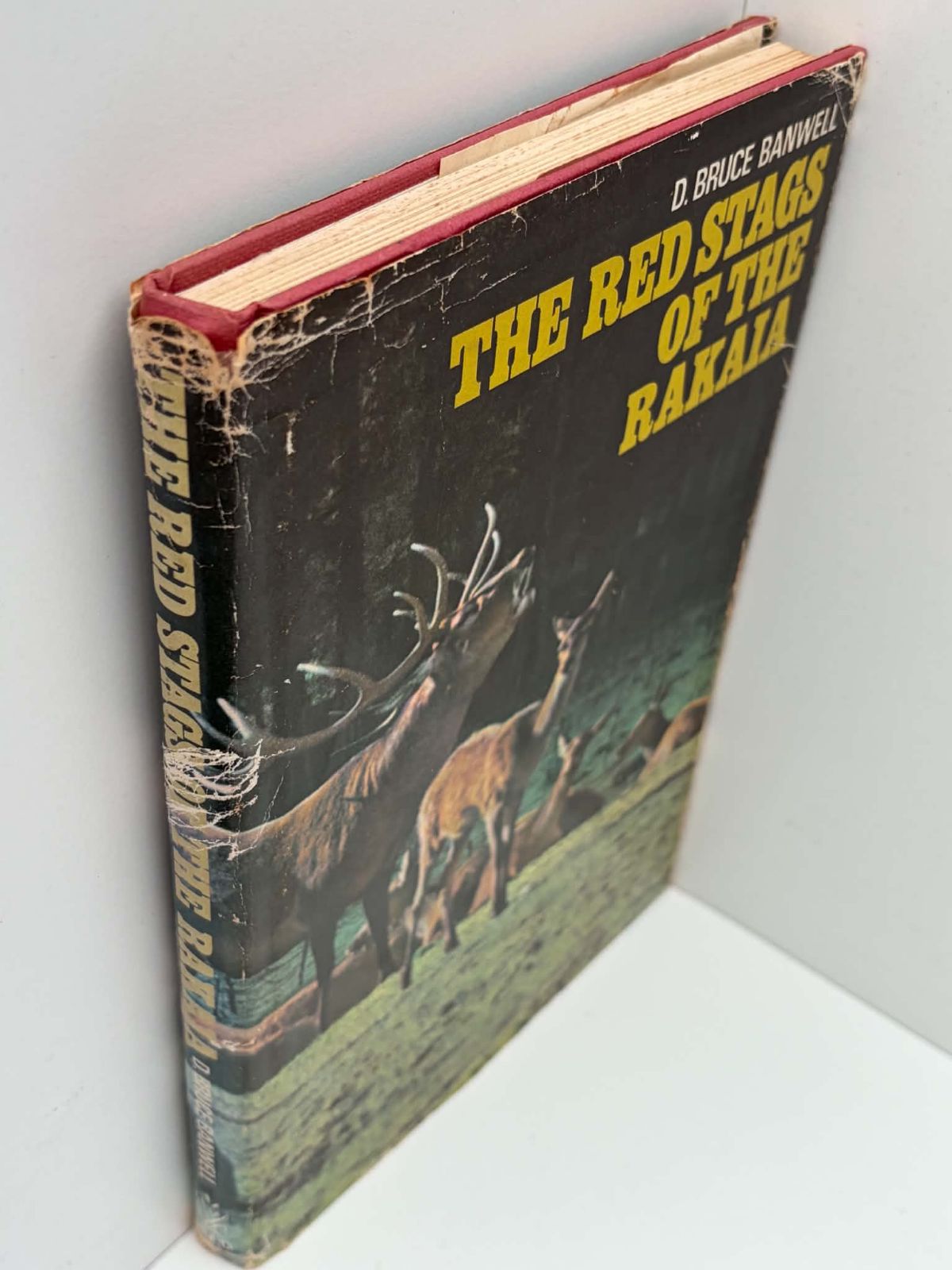 Unicorn Bookshop