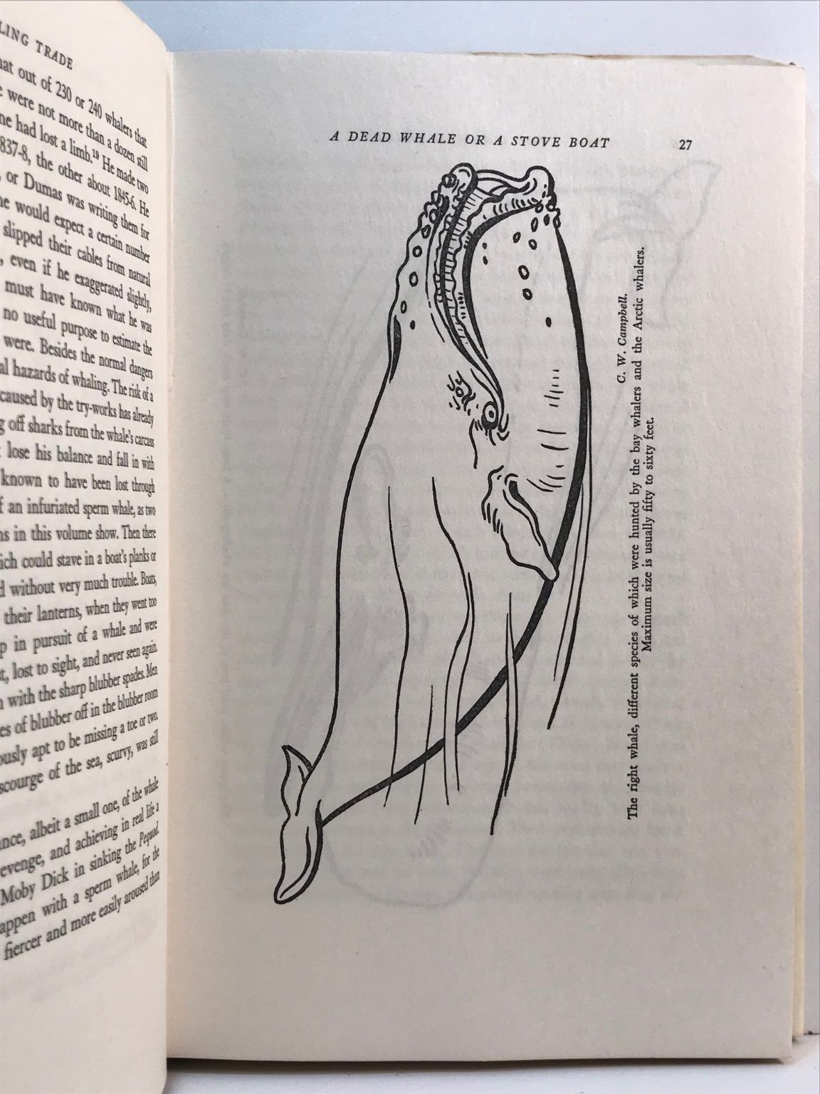 Unicorn Bookshop