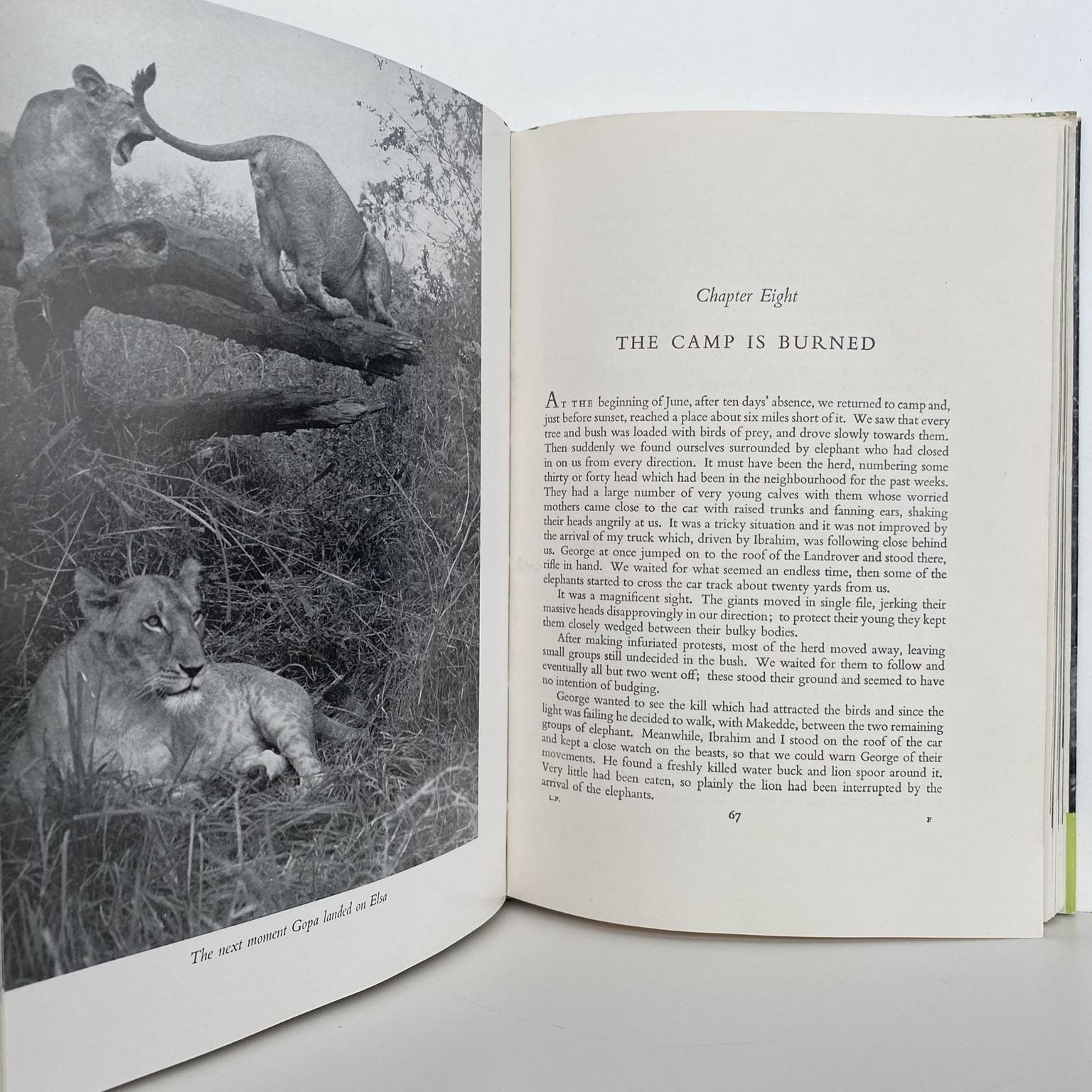 Unicorn Bookshop