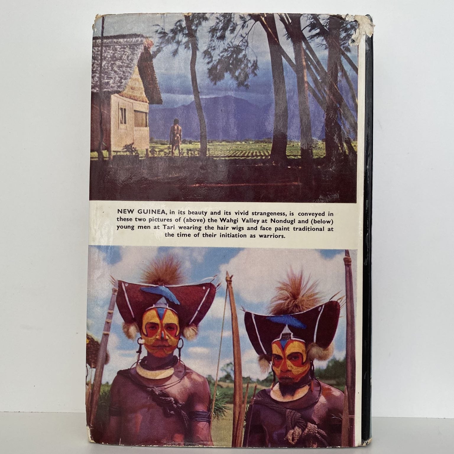 Unicorn Bookshop
