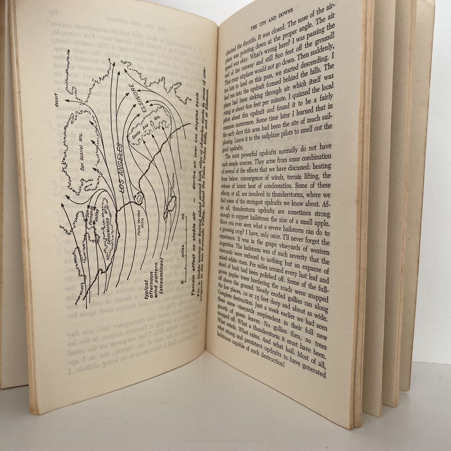 Unicorn Bookshop