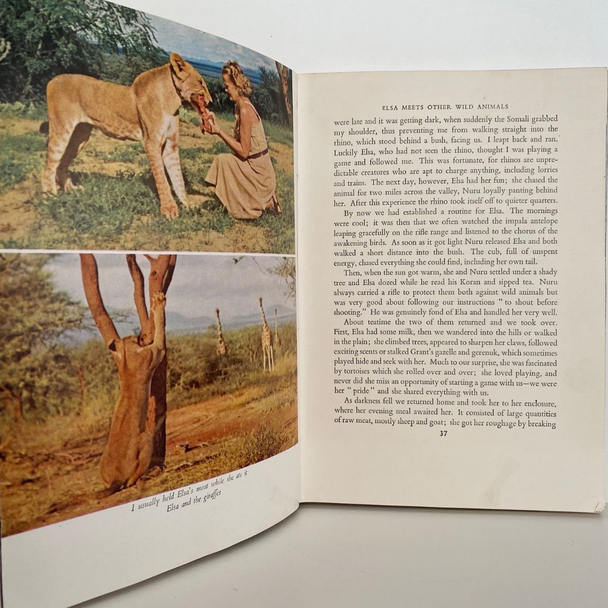 Unicorn Bookshop