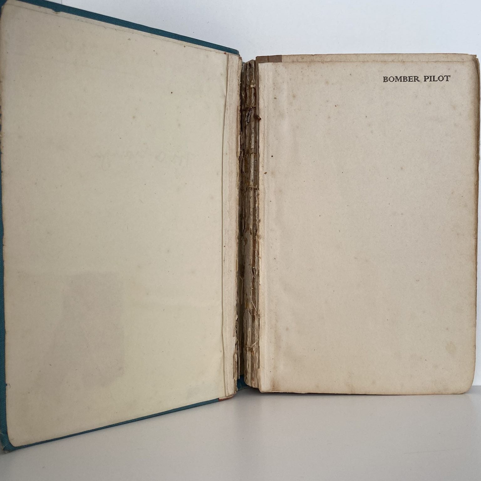 Unicorn Bookshop