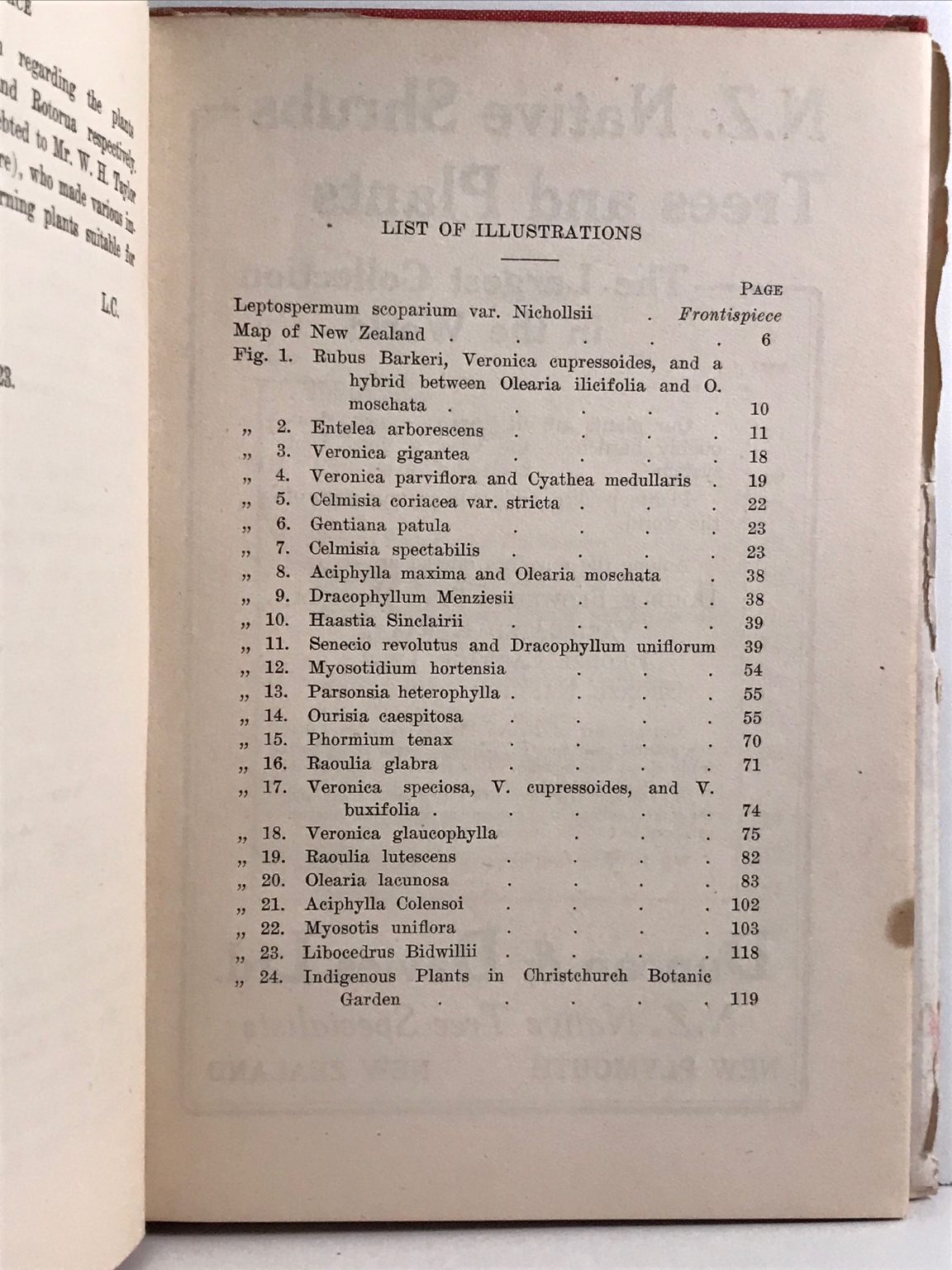 Unicorn Bookshop