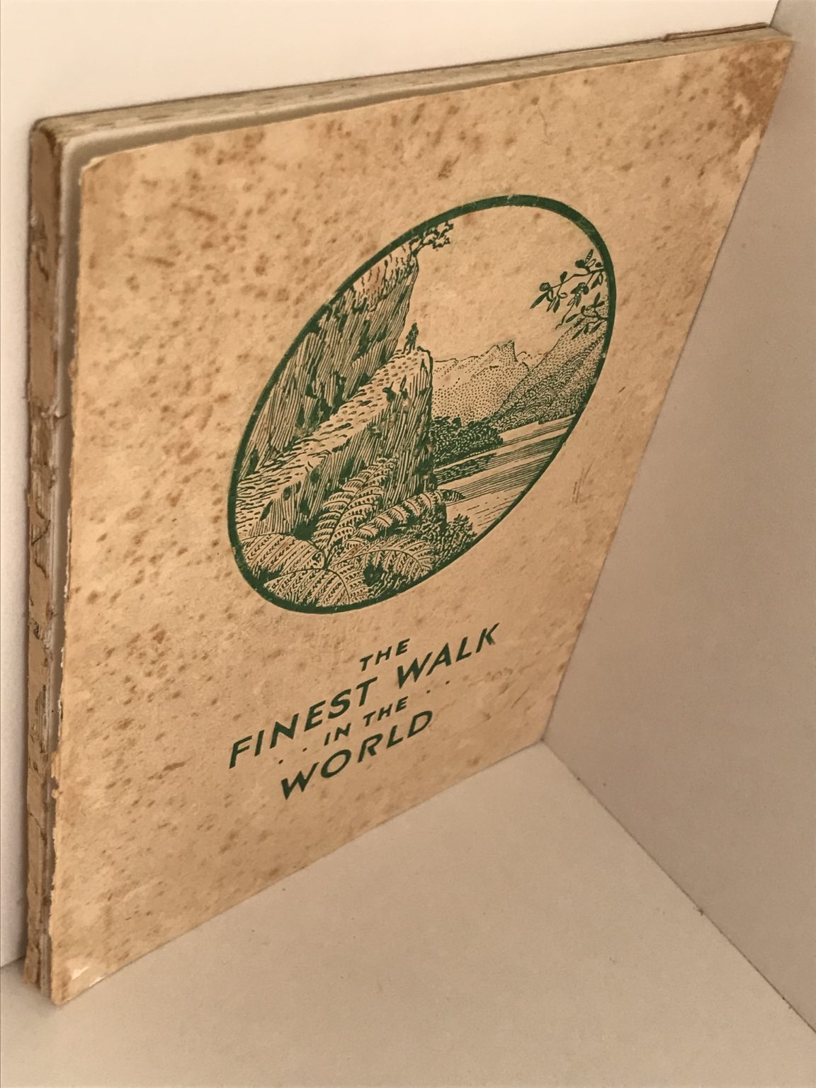 Unicorn Bookshop