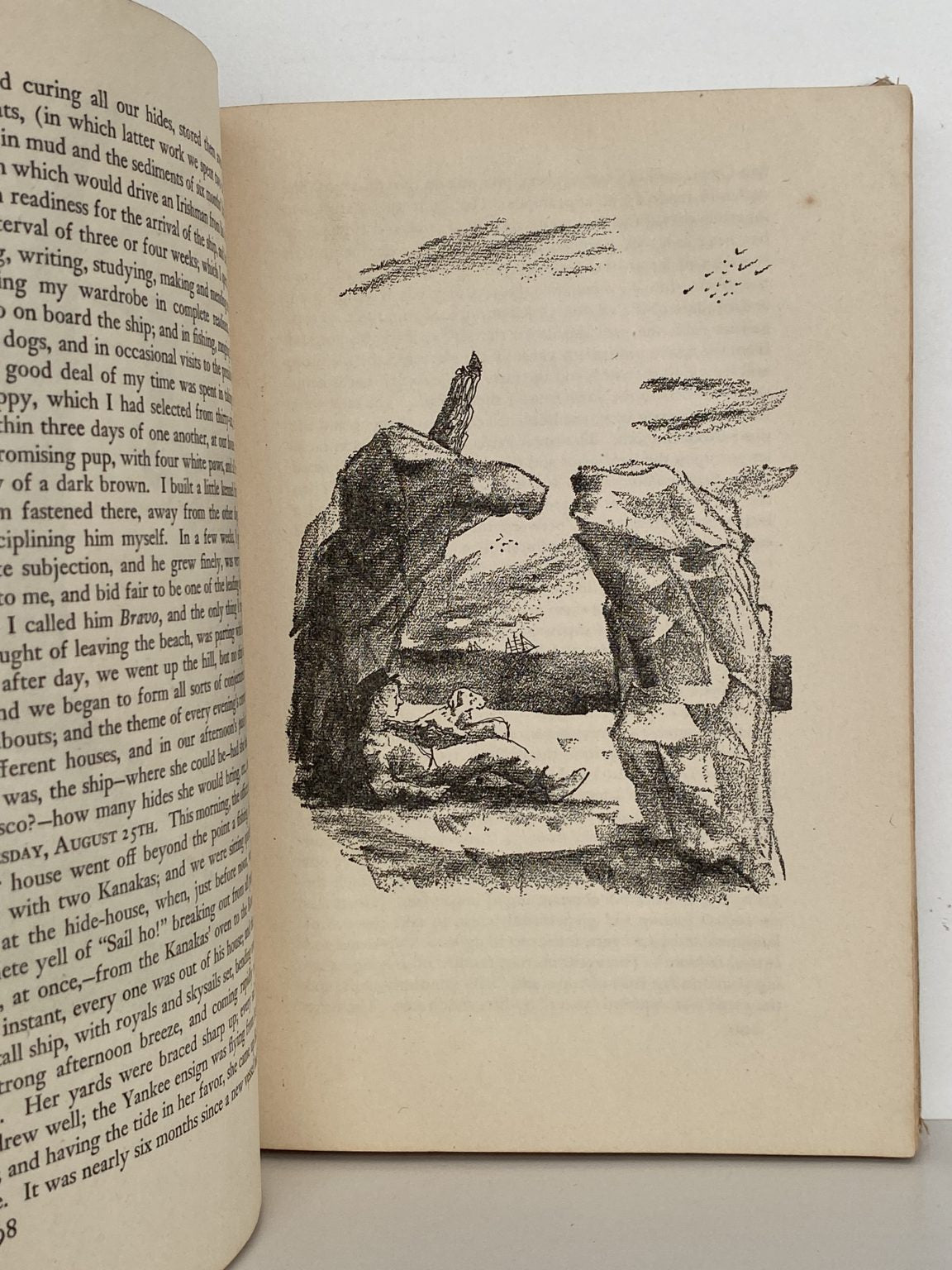 Unicorn Bookshop