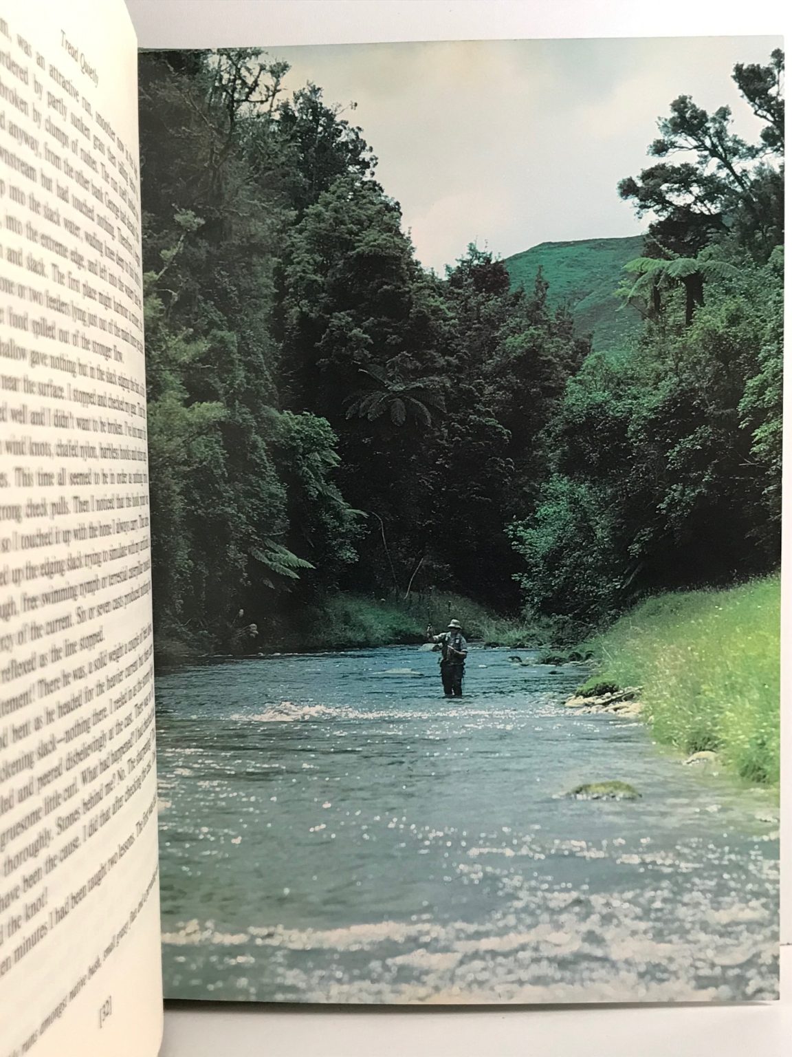Unicorn Bookshop