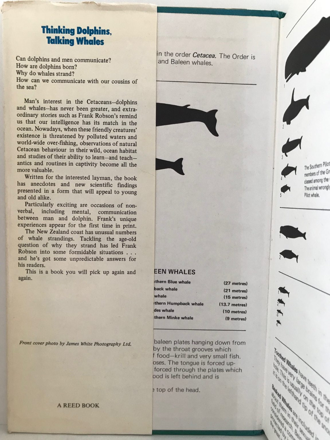 Unicorn Bookshop