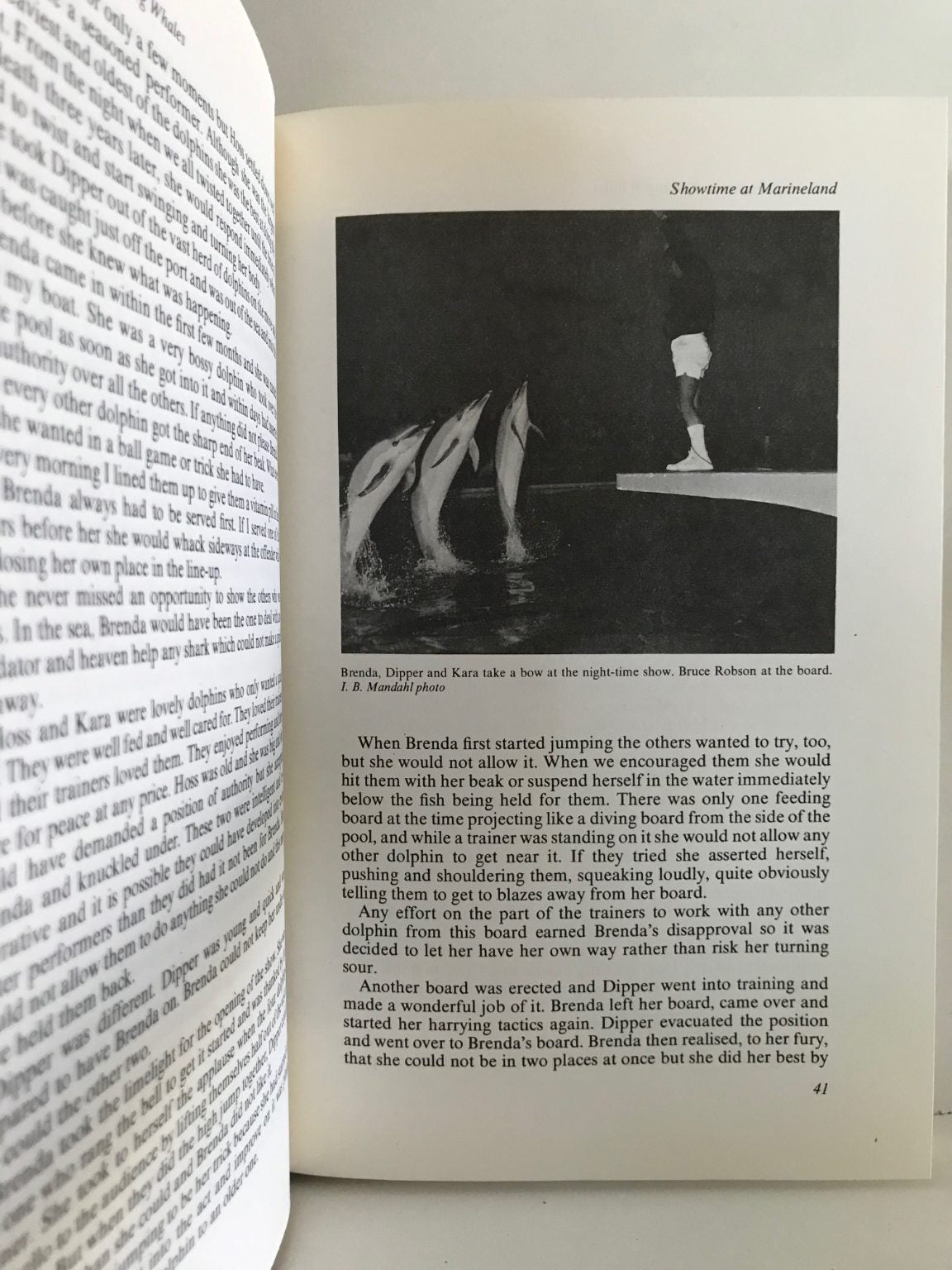 Unicorn Bookshop