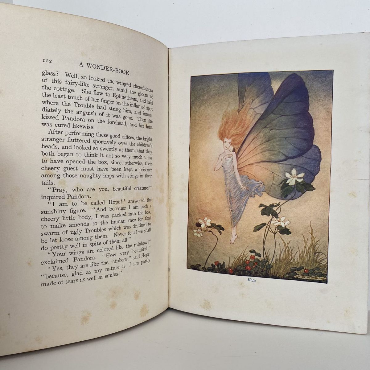 Unicorn Bookshop