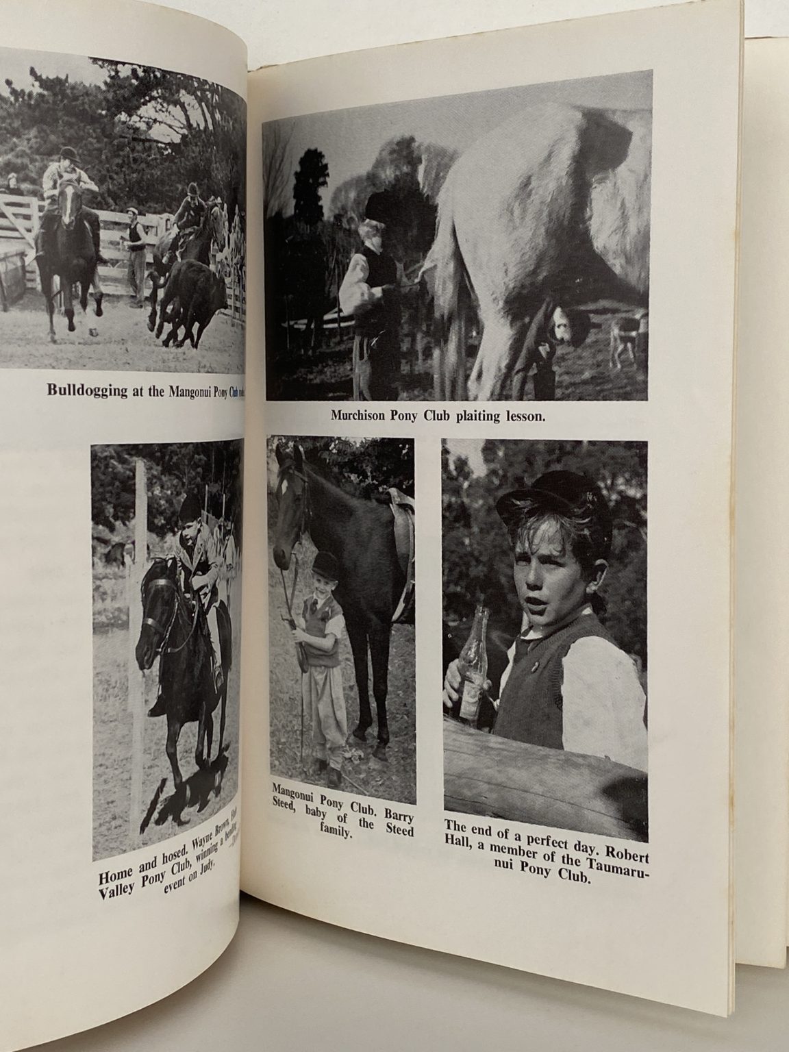 Unicorn Bookshop