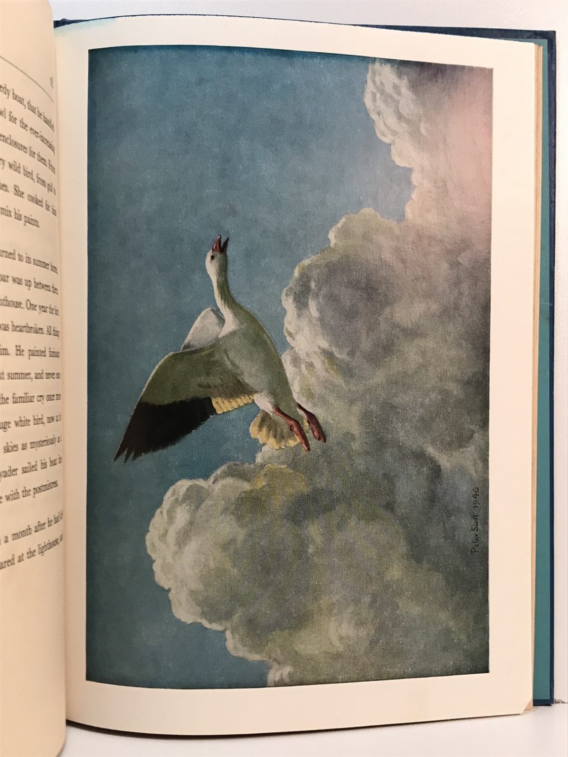 Unicorn Bookshop