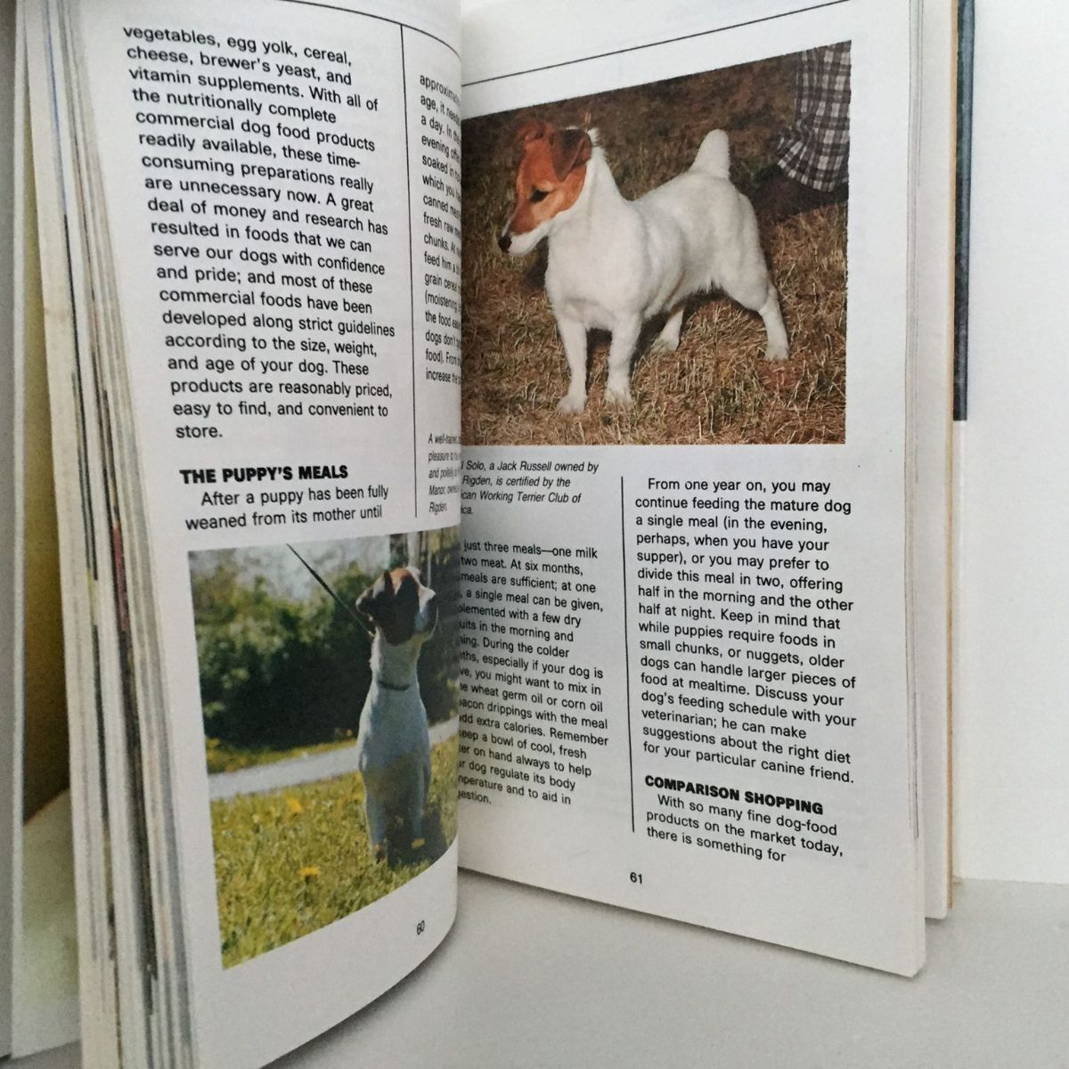 Unicorn Bookshop